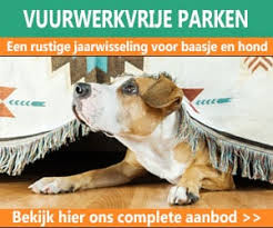 last minute vakantie met hond