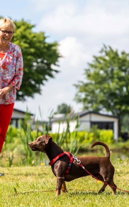 op vakantie met hond