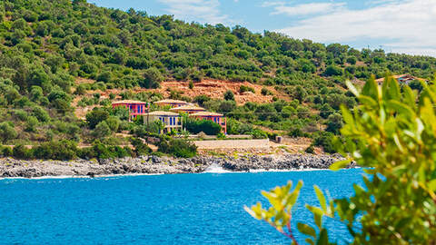 vakantie huisje aan zee
