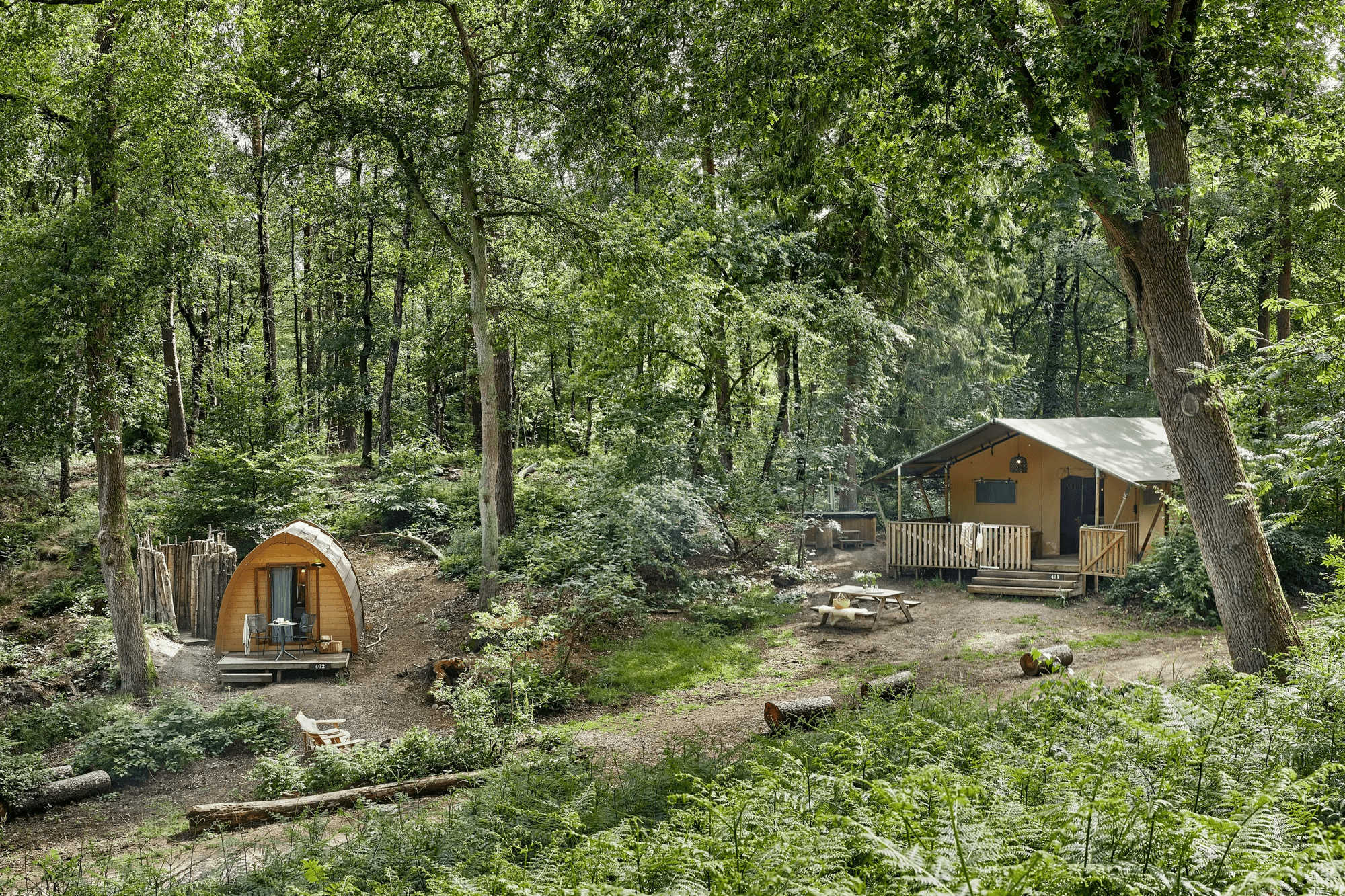 vakantie op de veluwe