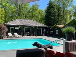 vakantiewoning met zwembad