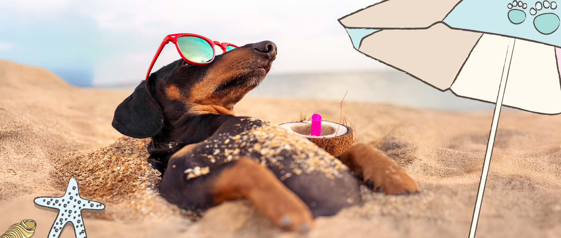 met je hond op vakantie
