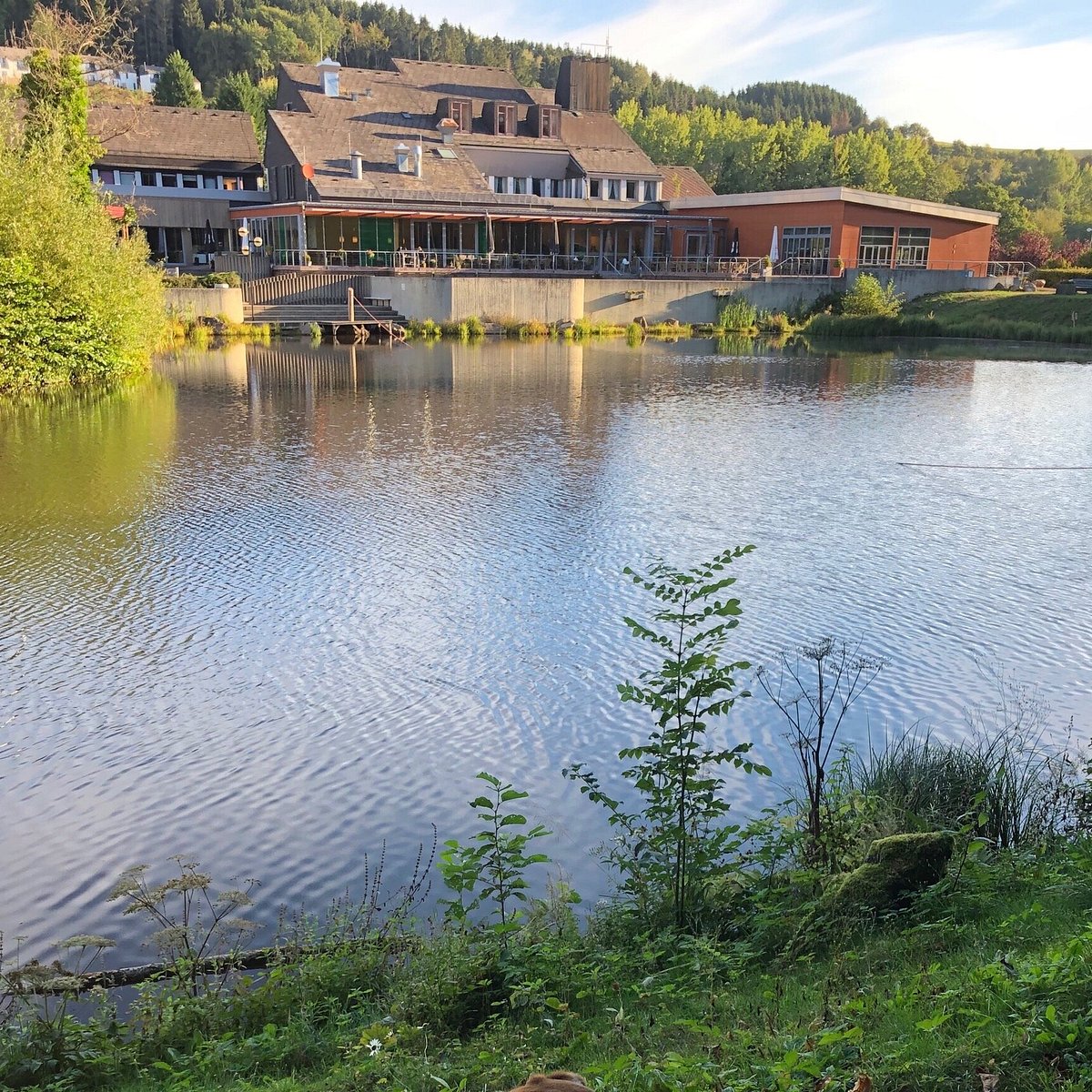 vakantiepark hambachtal