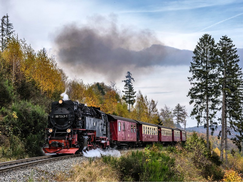 harz vakantie