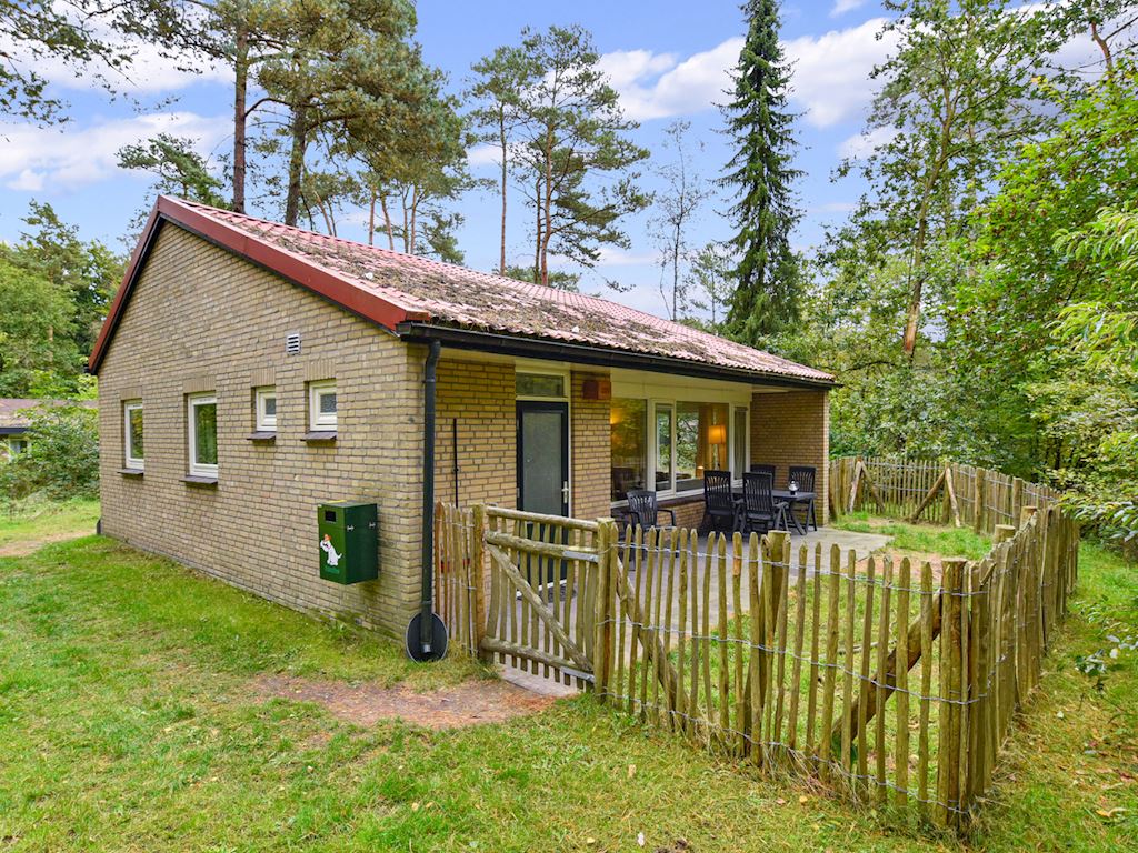 vakantiehuisje veluwe met hond